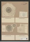 Coscinodiscus sol Wall (de-Toni-Nr.: Genus 202, Species 4884) Zeichnungen Sammlung Grunow Nr. 8641 (NHMW-BOT-W0378040)
